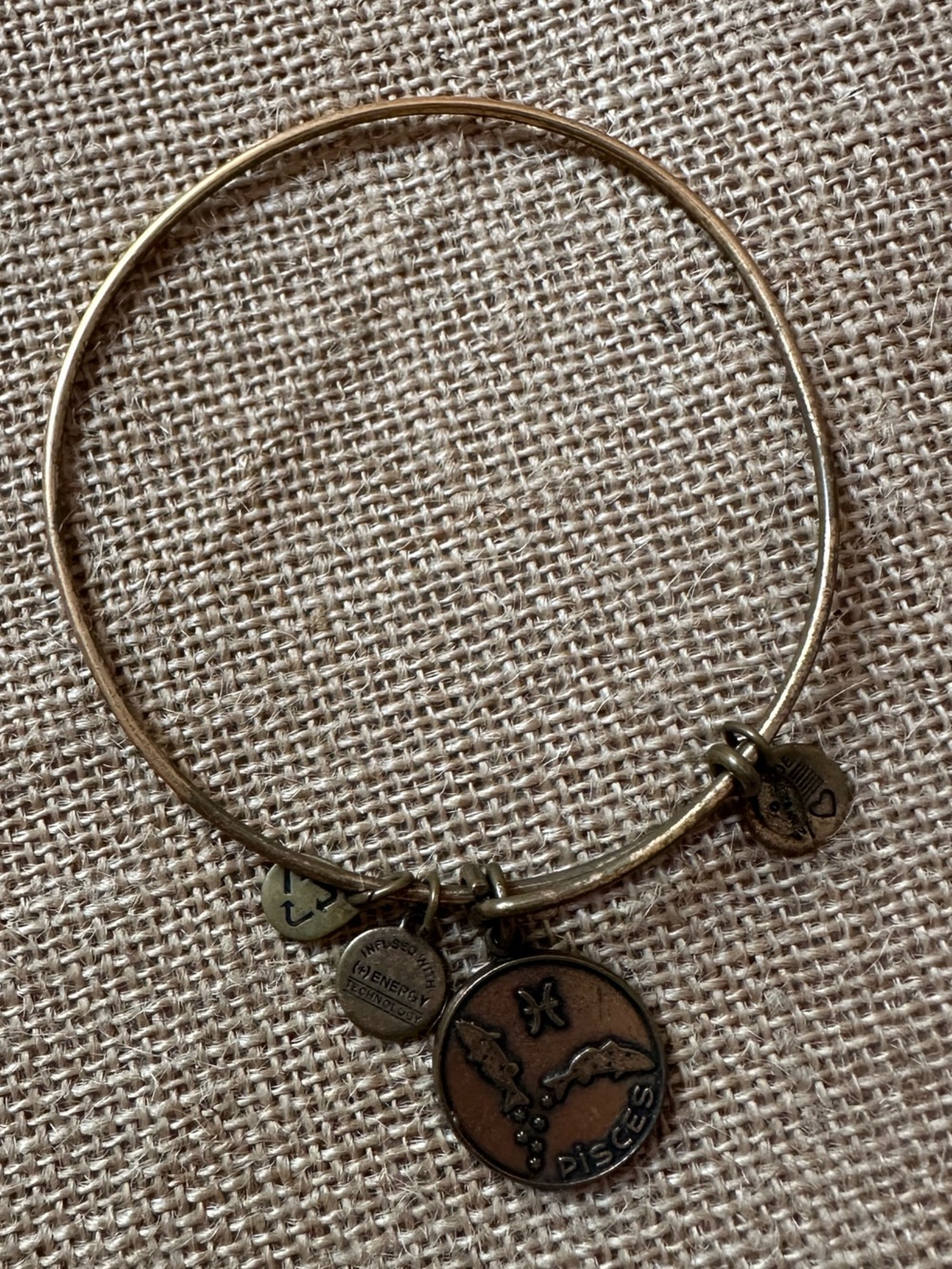 ✨5/$25 2014 Alex and Ani Pisces Bangle Bracelet